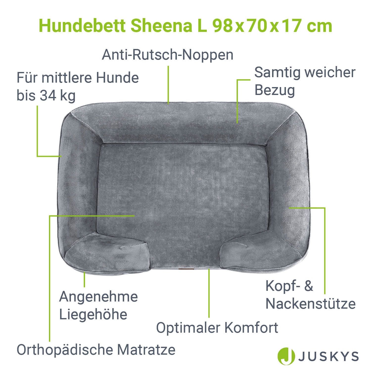 Image du produit 13
